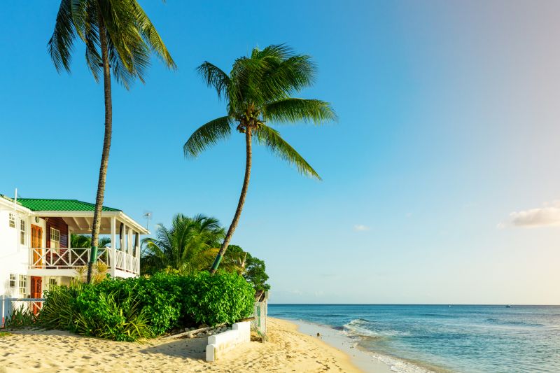 Beachfront Property Clearing