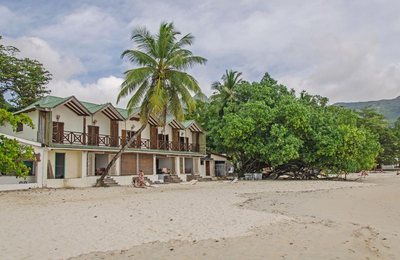 Beachfront Property Clearing