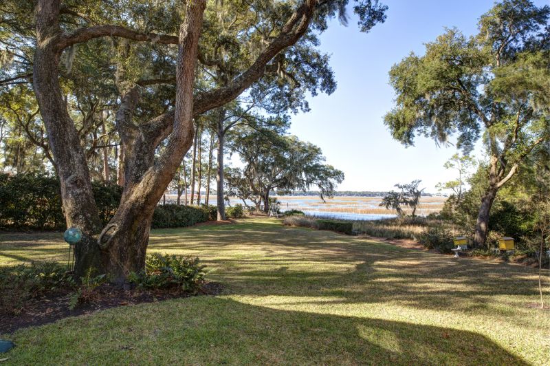 Beachfront Property Clearing