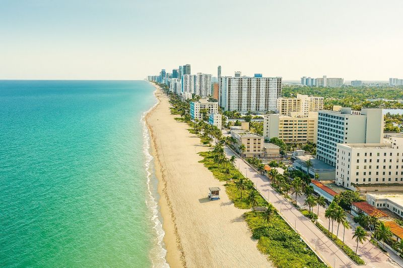 Beachfront Property Clearing