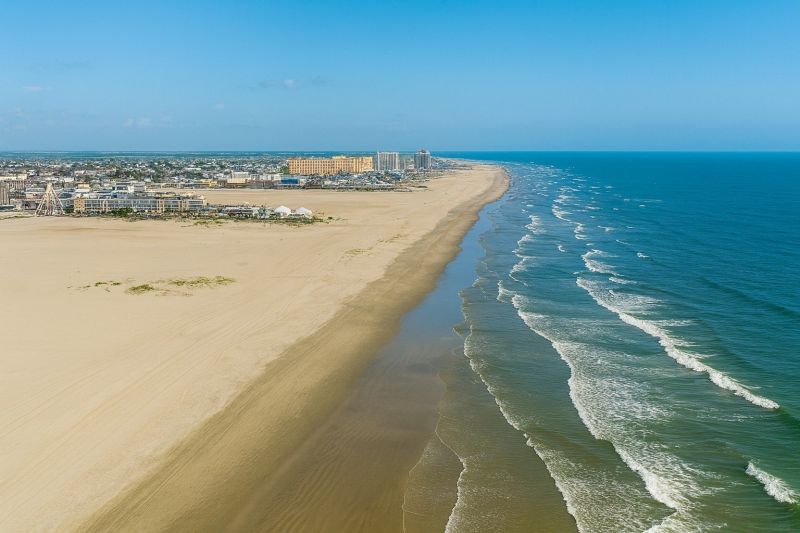 Wildlife Preservation