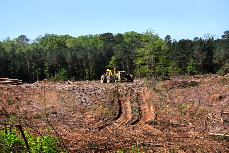 Beachfront Clearing Equipment in Action