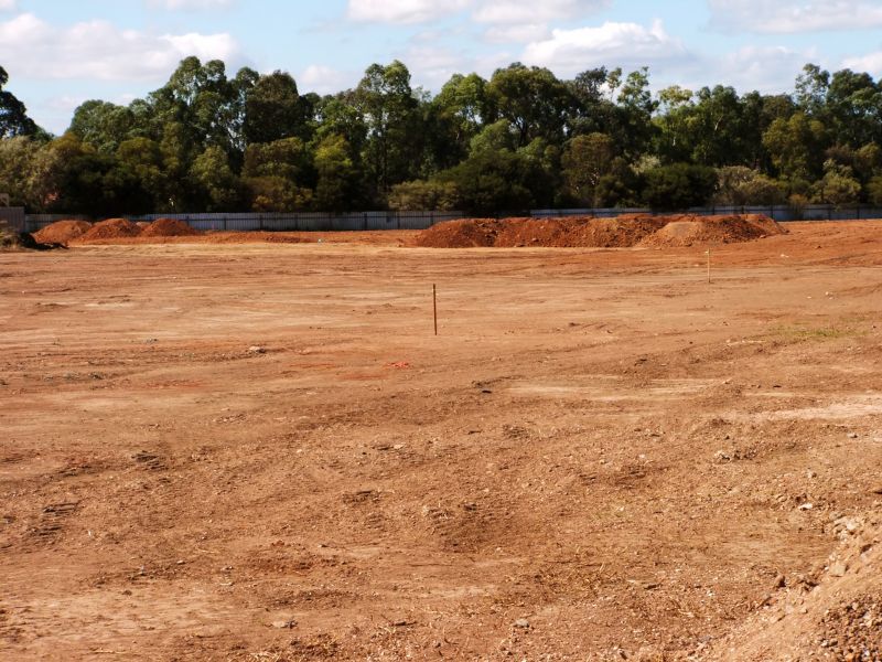 Terrain and Soil Conditions