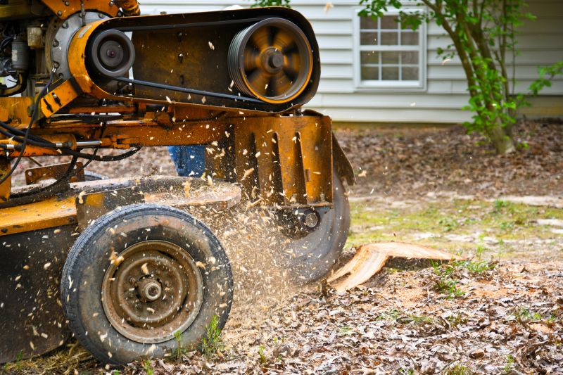 Stump Grinding Inside Property