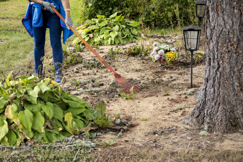 Customer Support and Consultation