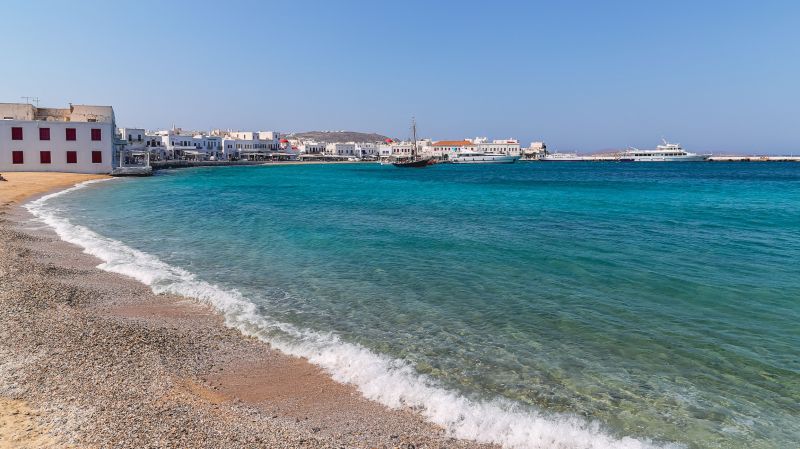 Experienced Beachfront Clearing Teams